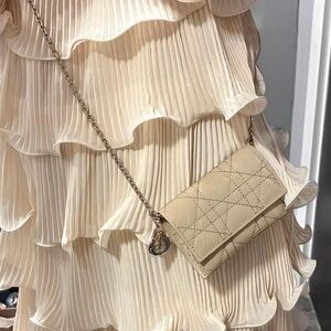 Dior wallet on chain
